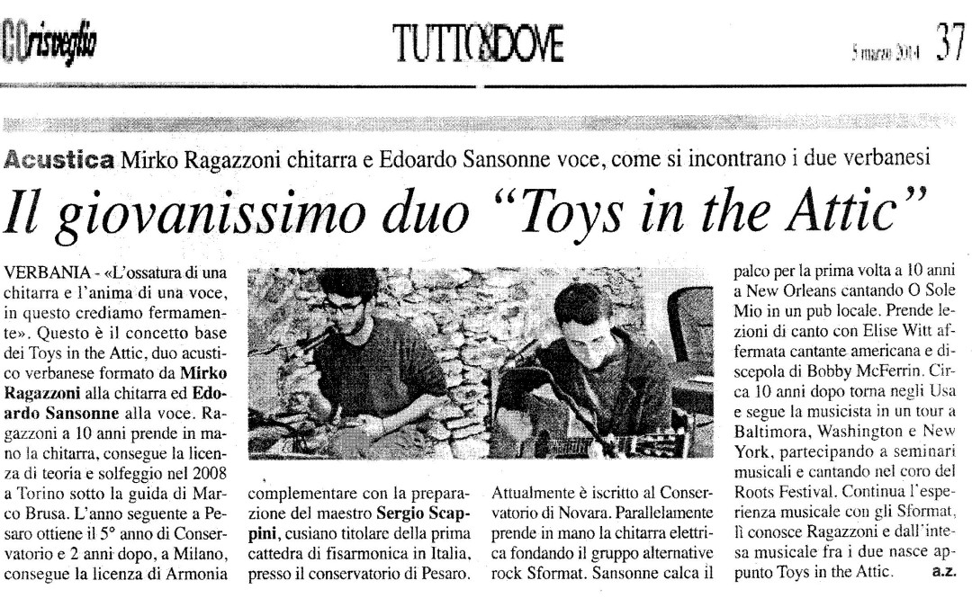 eco risoeglio | Il giovanissimo duo “Toys in the Attic”