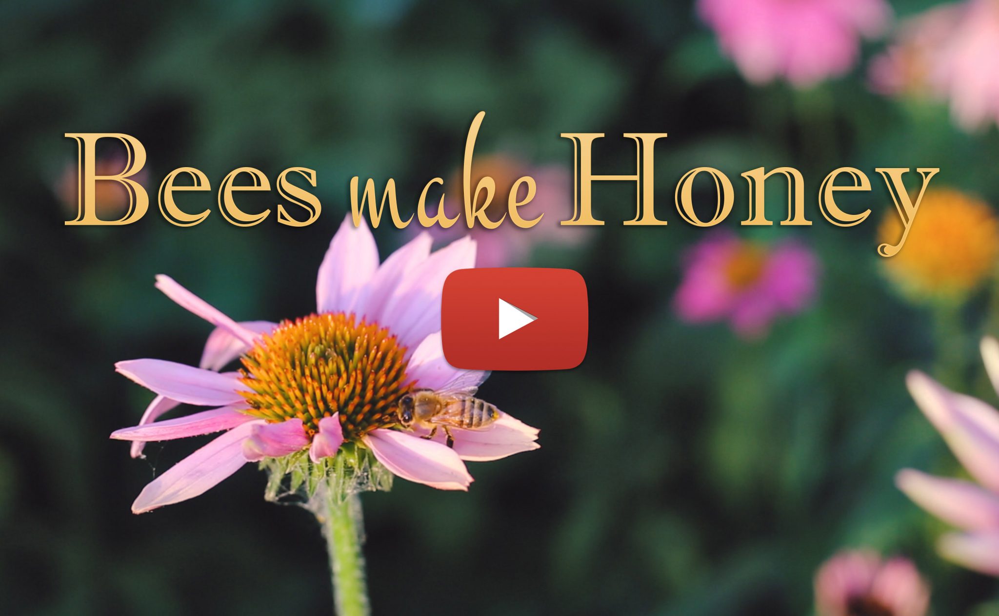 Bees Make HoneyOFFICIAL MUSIC VIDEO