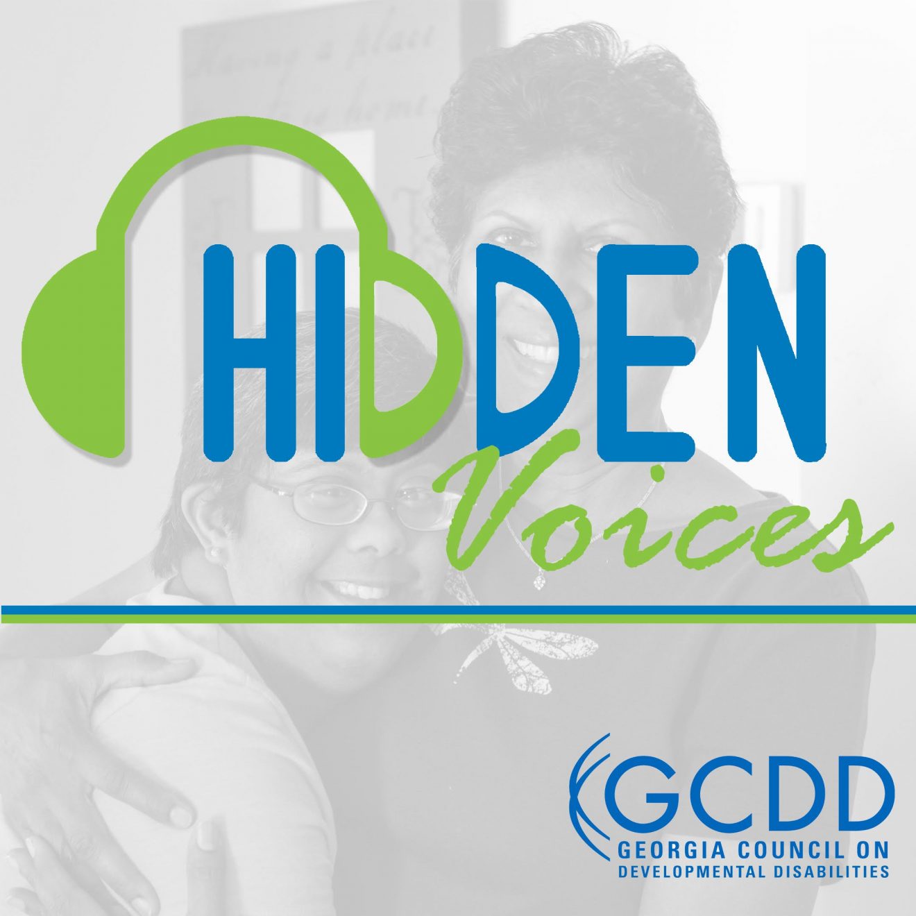 Hidden Voices