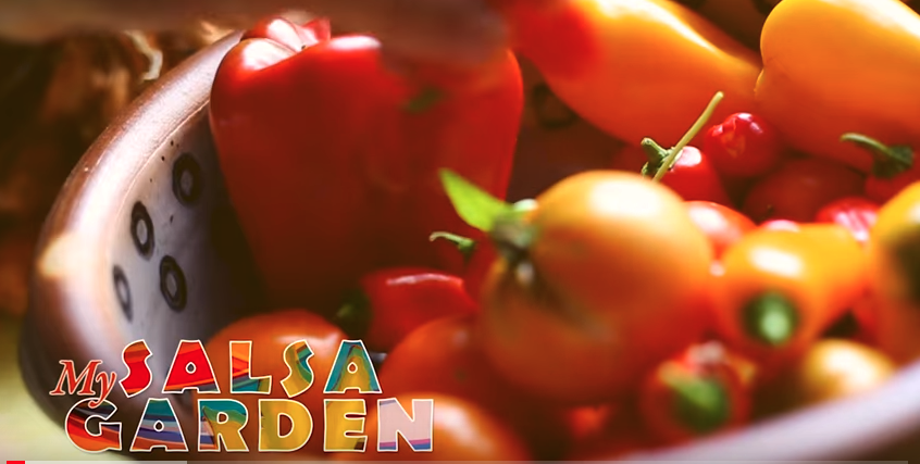 My Salsa Garden video